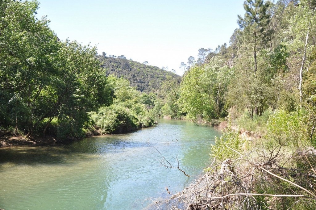 A river in the Var in Provence